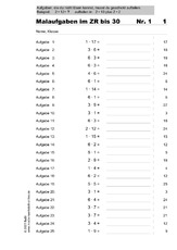 30 ABs Multiplikation ZR bis 30.pdf